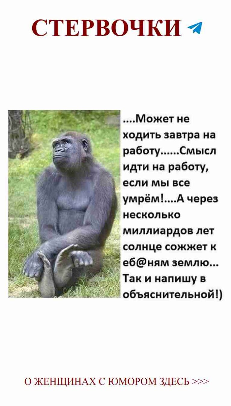 Смешной горилла на отдыхе: неужели это любовь к привычкам