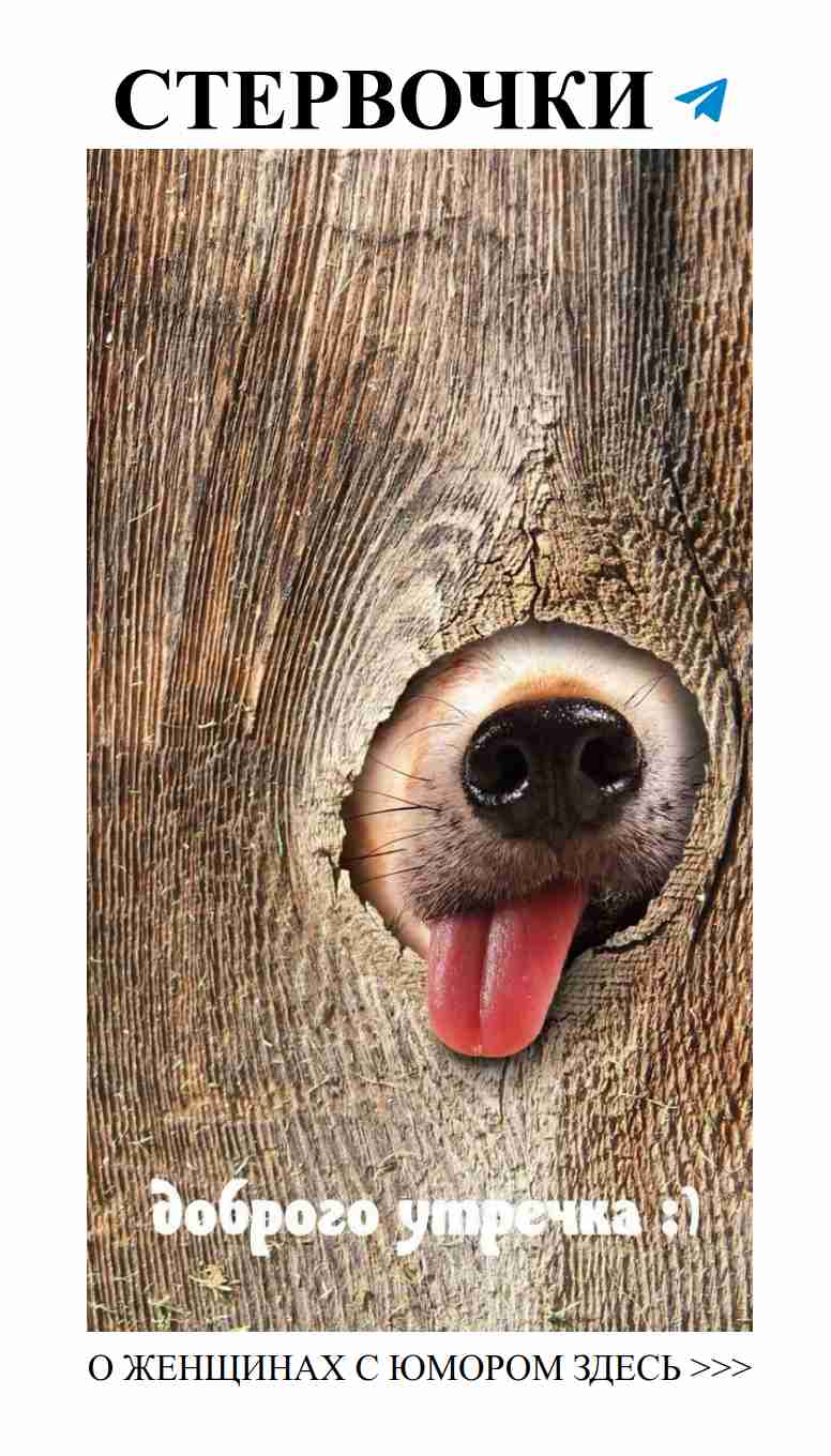 Собака на ухе, когда любовь за забором не видна