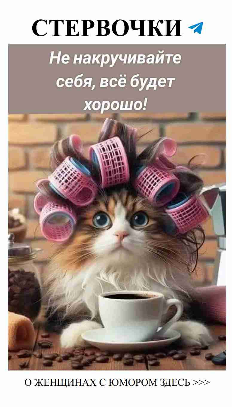 Кот с бигуди: Заварите позитив за утренним кофе