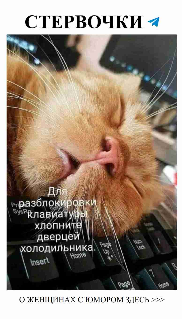 Любовные комедии: почему смех помогает в отношениях