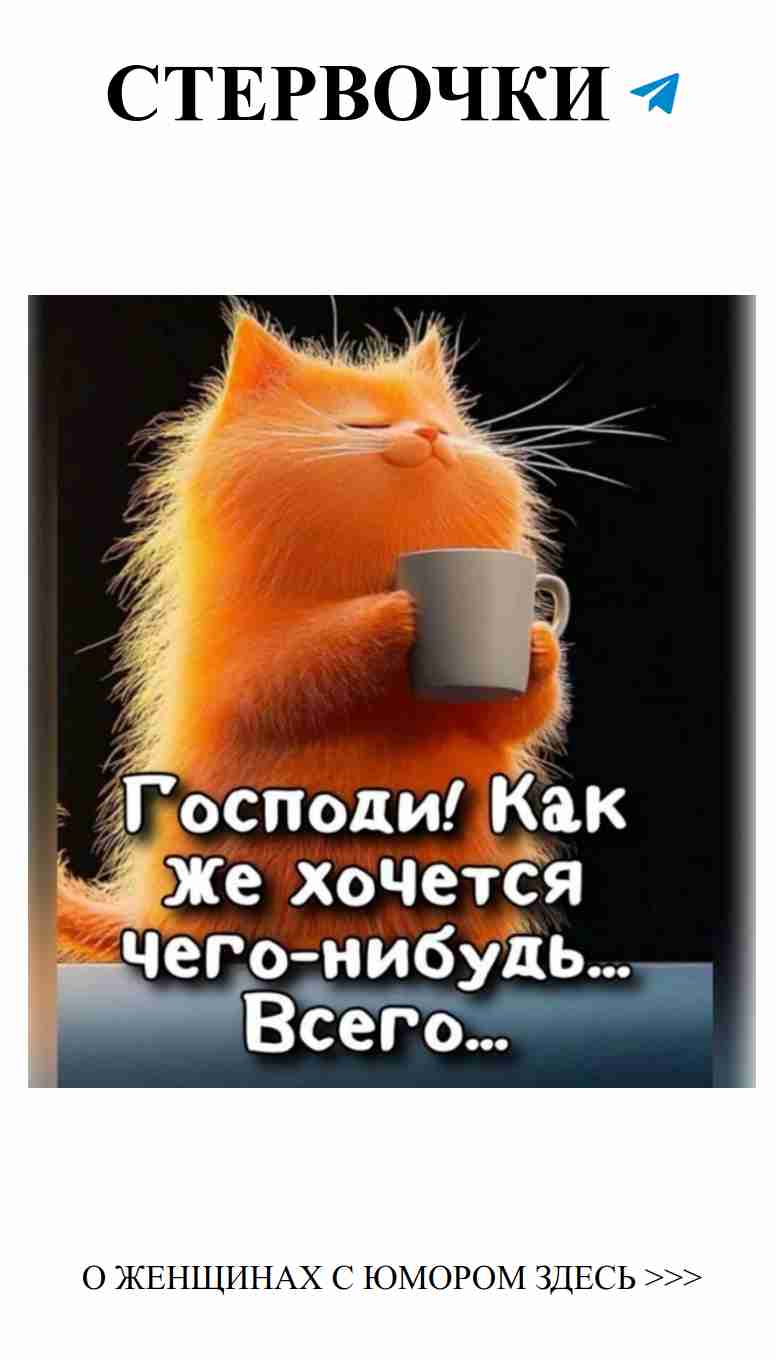 Почему бы не поднять стакан кофе, если у тебя есть кошка