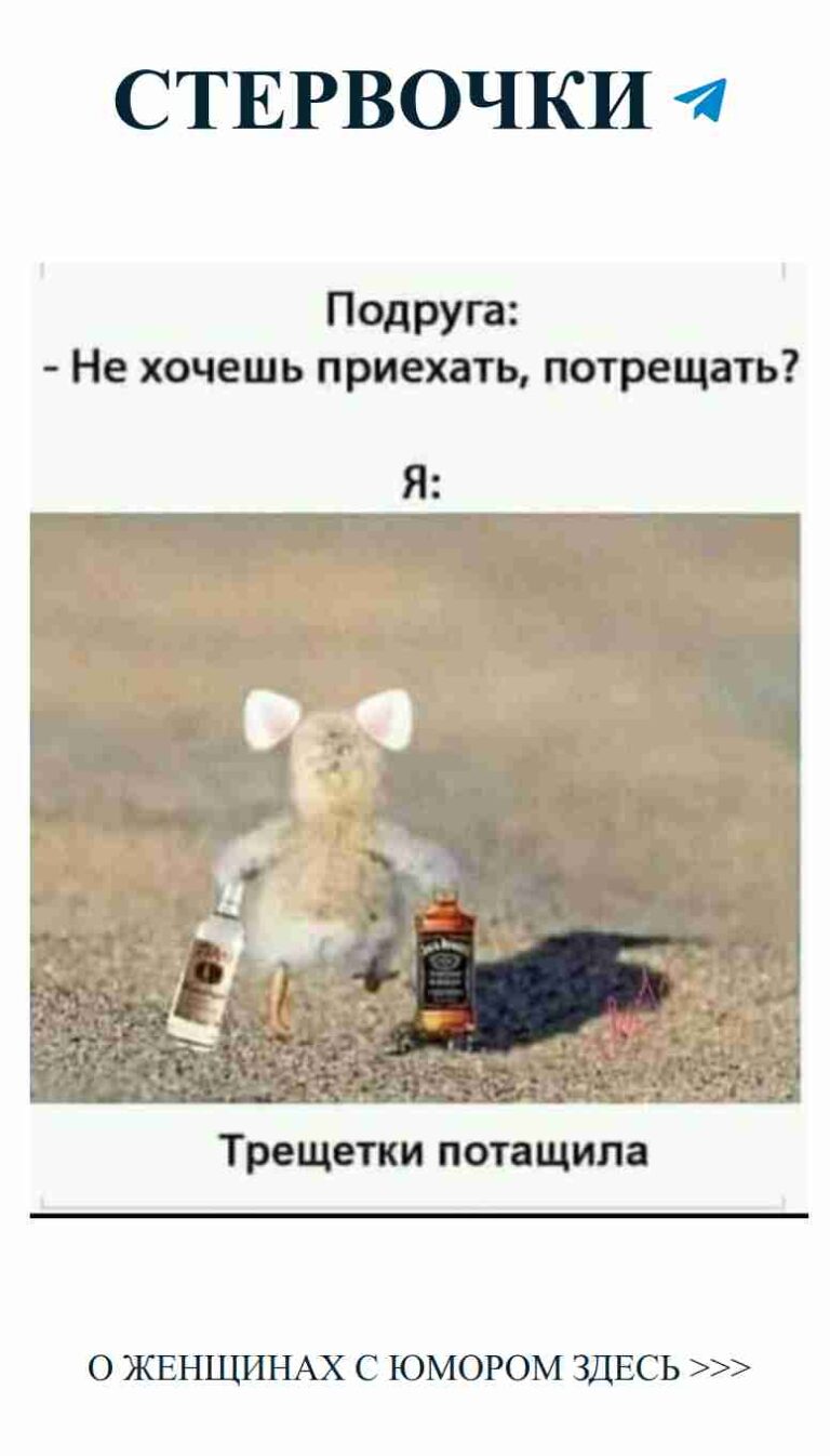 Когда любовь находит тебя, даже мыши улыбаются