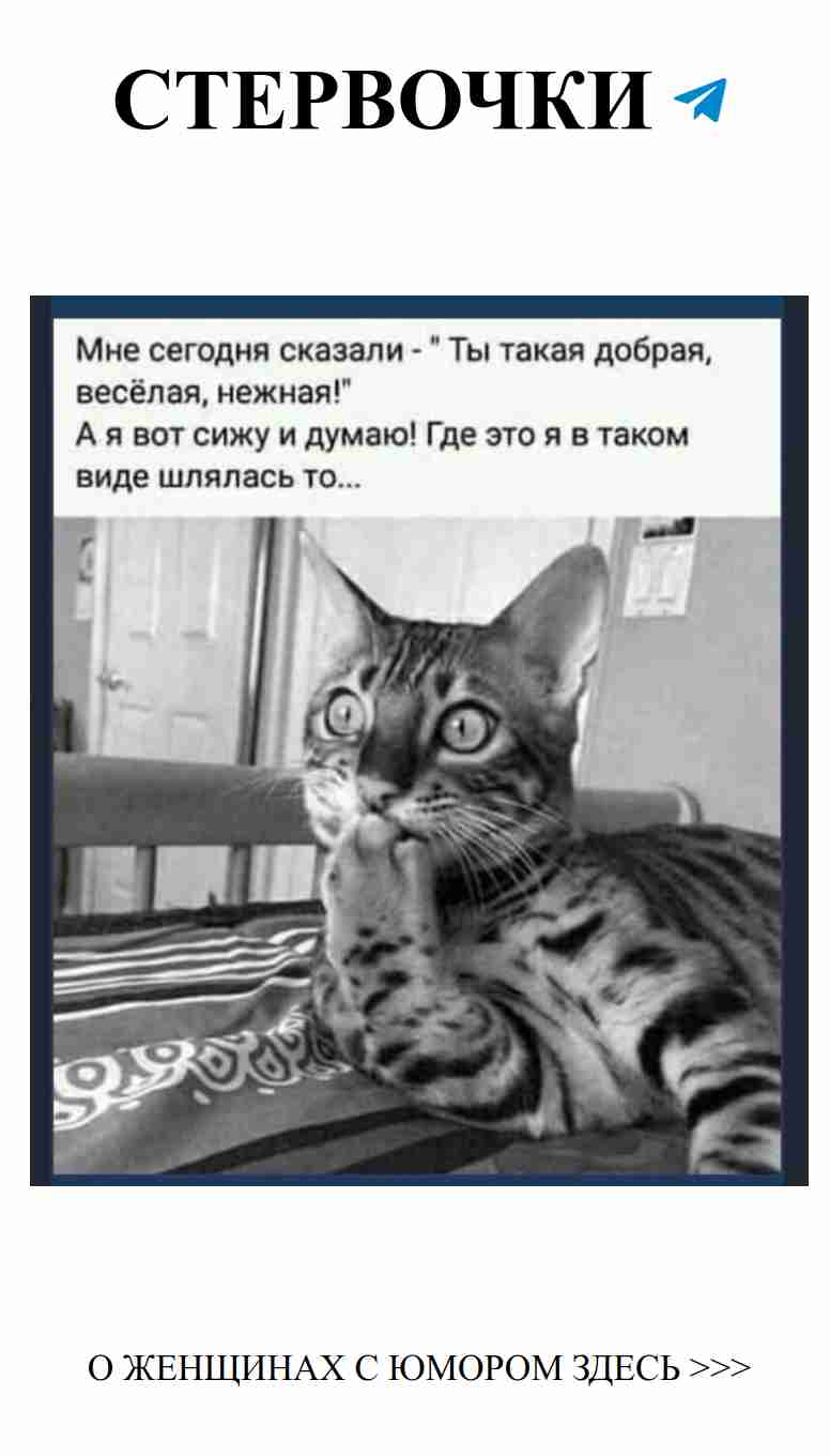 Смешные цитаты о любви и жизни для женщин