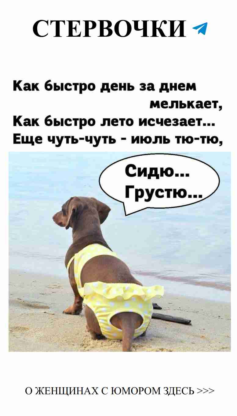 Смешные истории о любви и пушистых друзьях