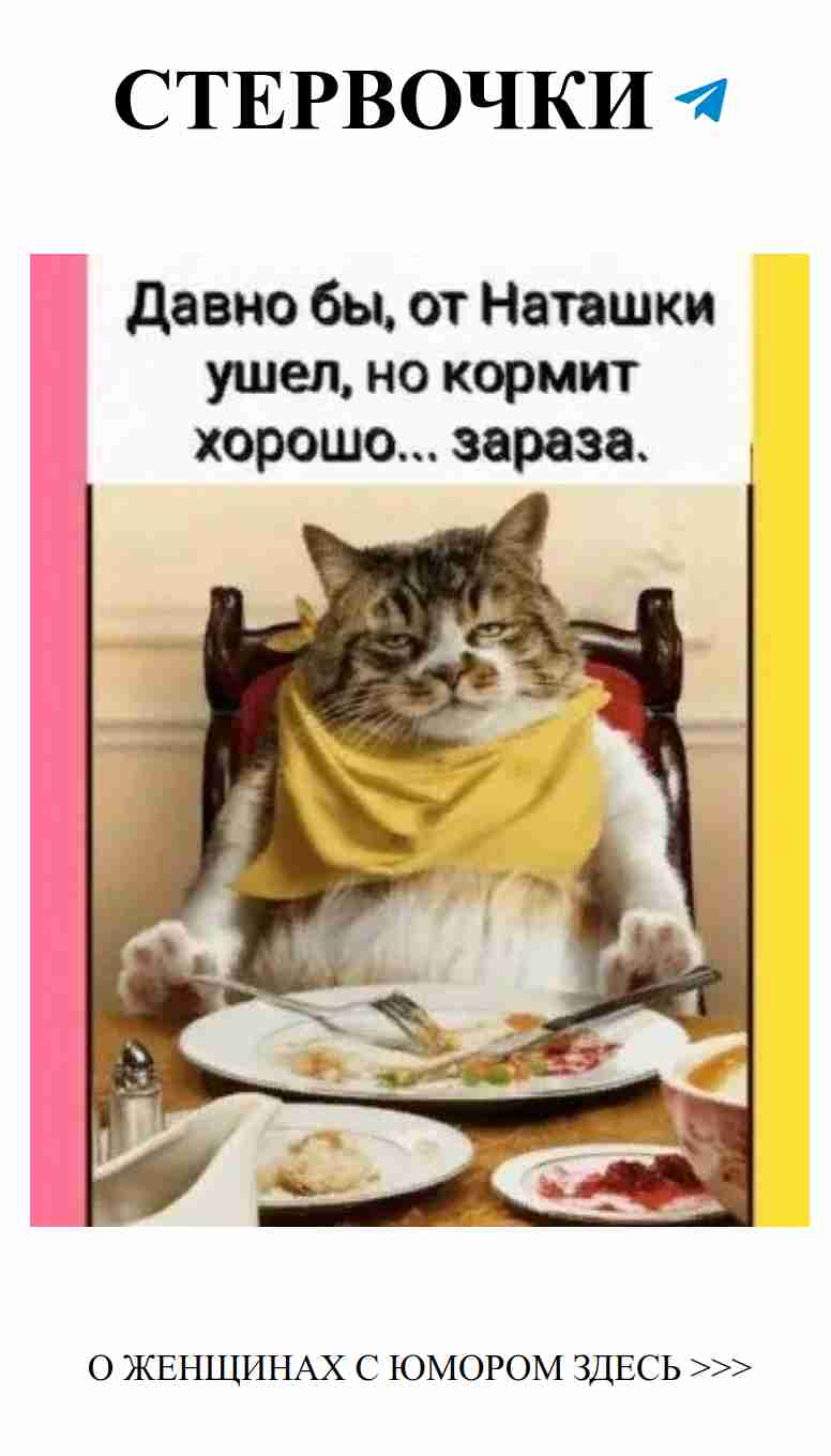 Любовь и смех: как найти свою вторую половинку с юмором