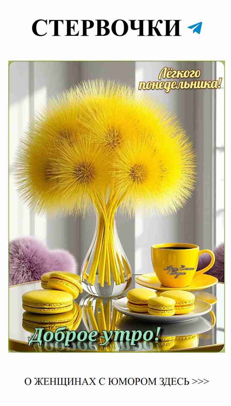 Любовь и смех: как найти идеального партнёра с юмором