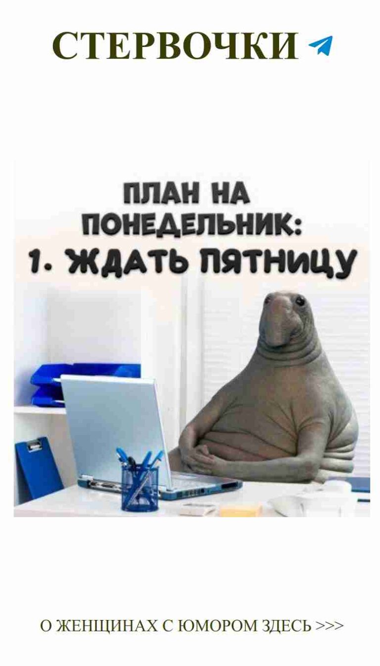 Моя любовь к компьютерам: новые мемы для души