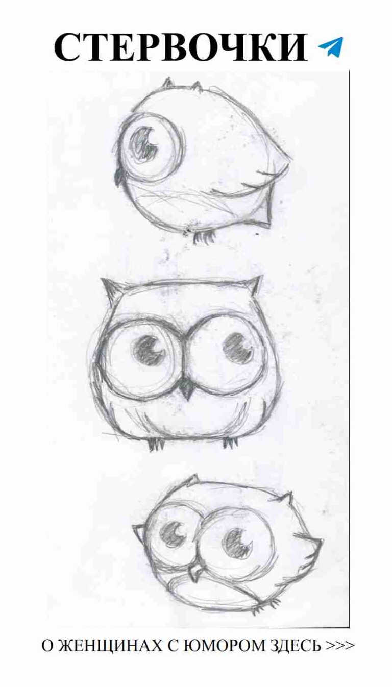 Три совы, три чувства: любовь, смех и творчество