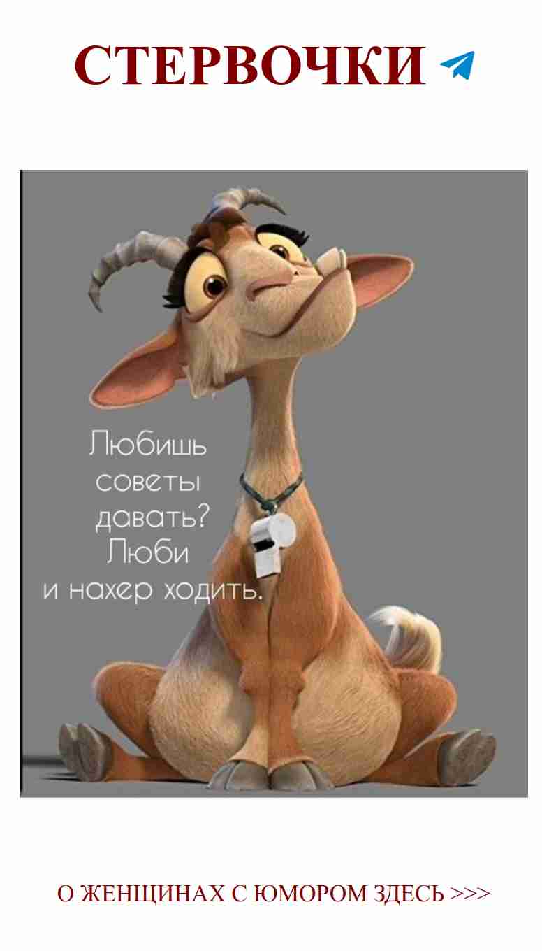 Когда дружба танцует: юмор для любящих сердец