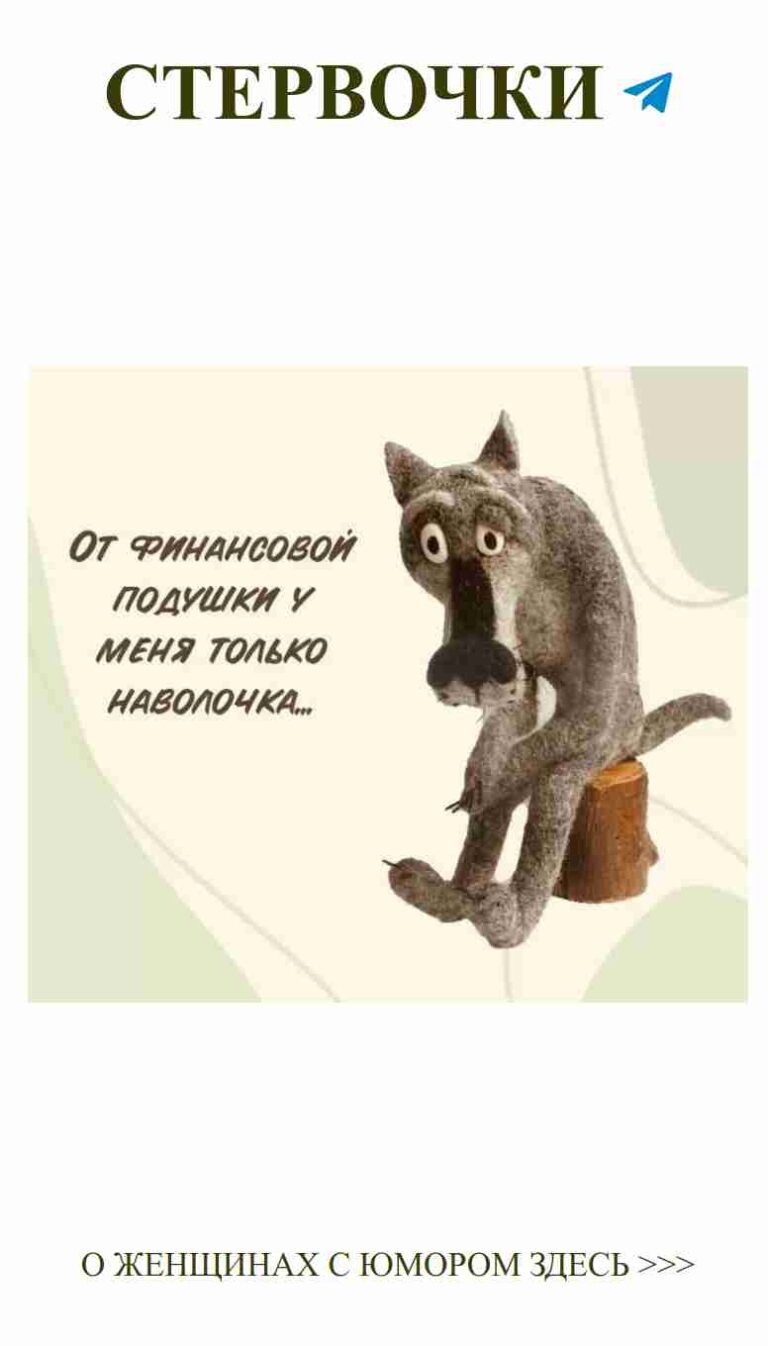 Кошка на пне с надписью о любви и женском юморе