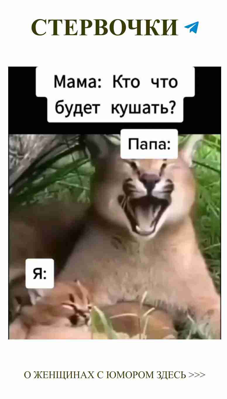 Когда двое друзей на траве – любовь и юмор рядом