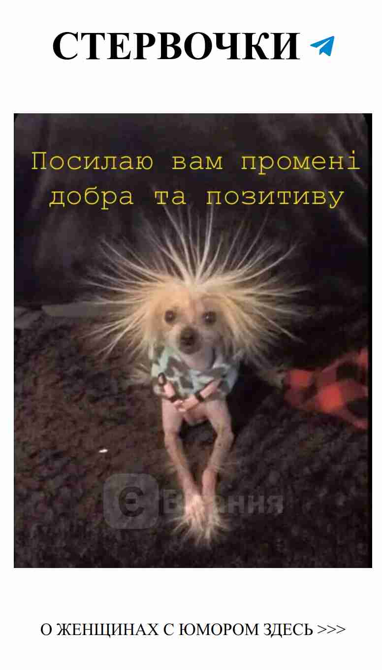 Утренний привет с милым щенком для поднятия настроения