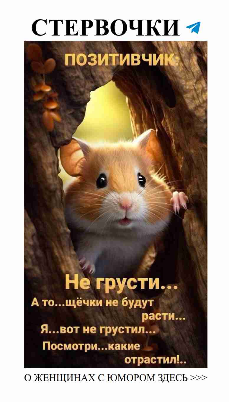 Смех и любовь: посмеши женщин каждый день