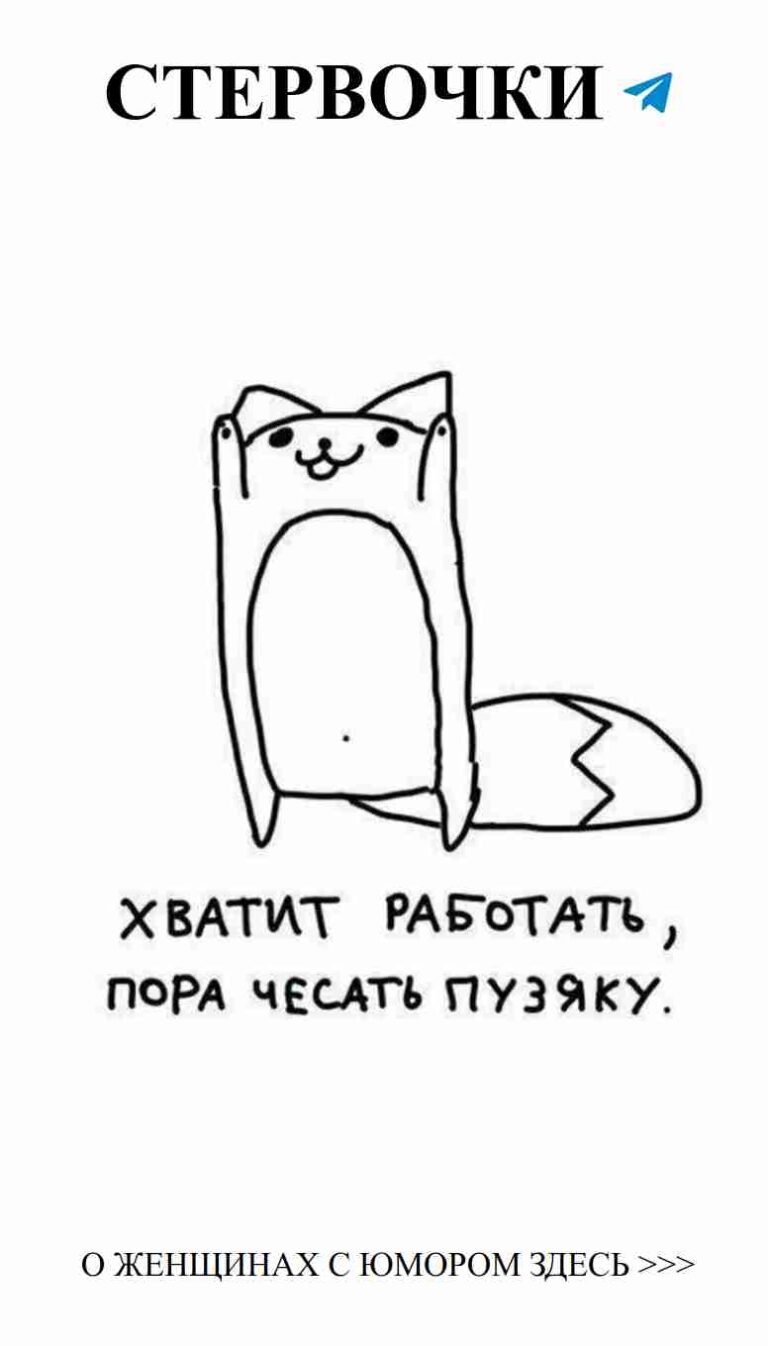 Смех и любовь: черный кот откроет сердца