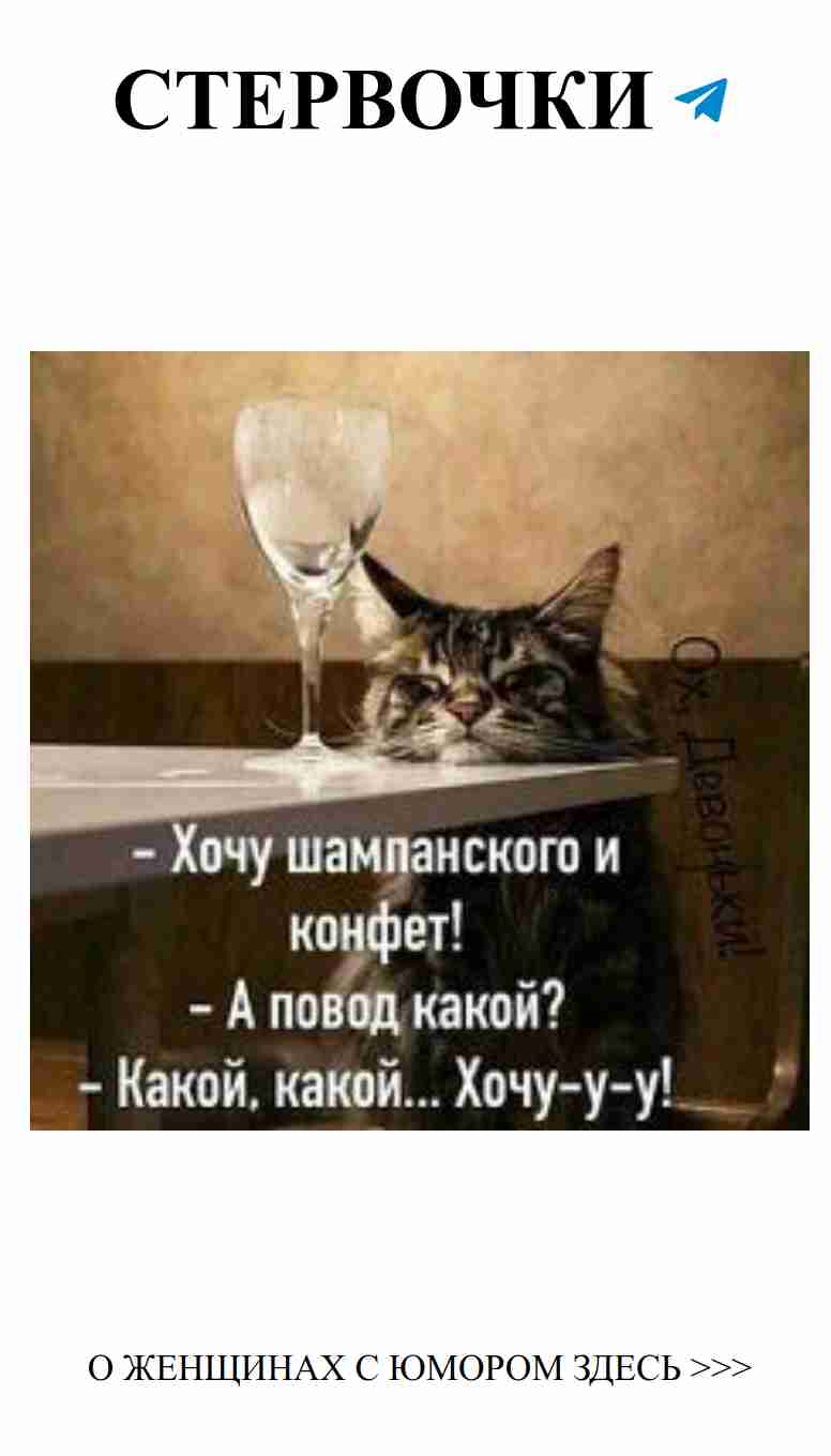 Котик на столе с вином: любовь и улыбка в каждой порции