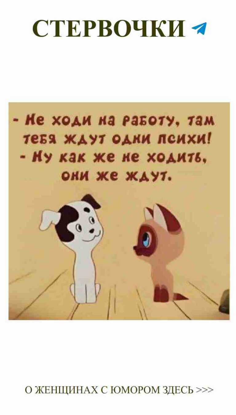 Утренняя весёлость: два забавных пса и любовь