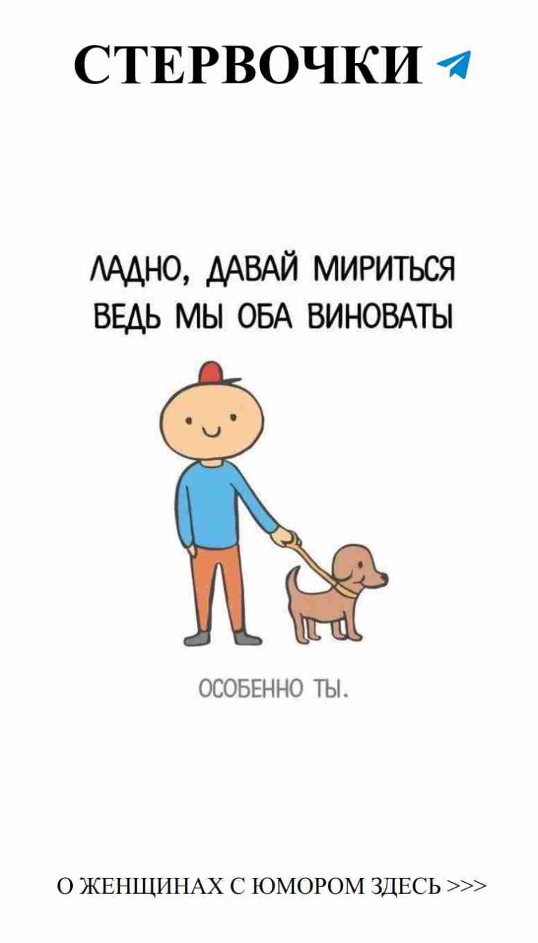 Любовь и смех: когда прогулка с собакой становится приколом