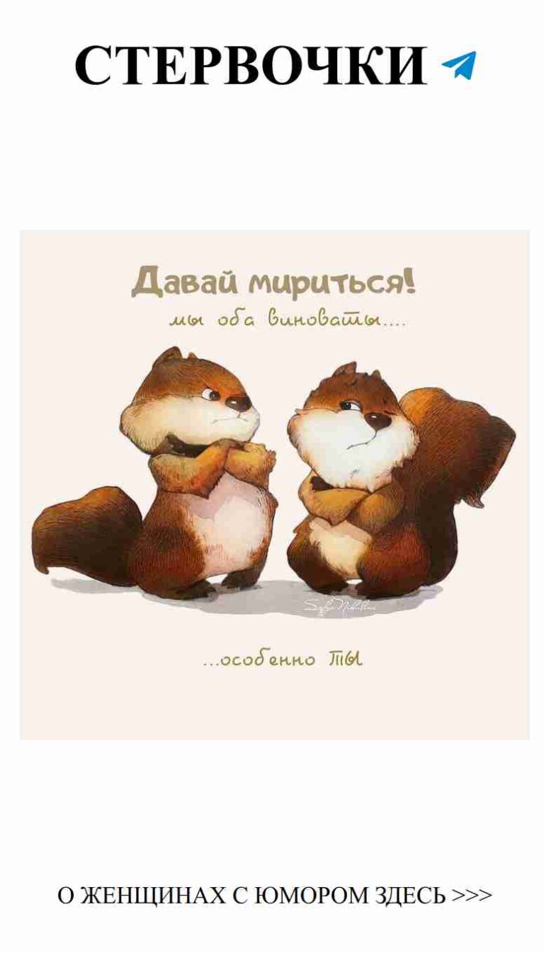 Умилительные мишки, которые знают о любви всё