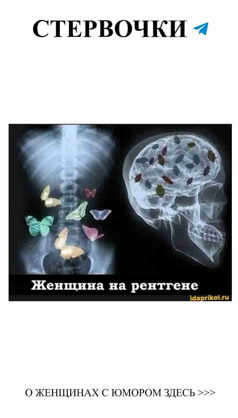 Когда любовь встречается с юмором: прогулка с бабочками