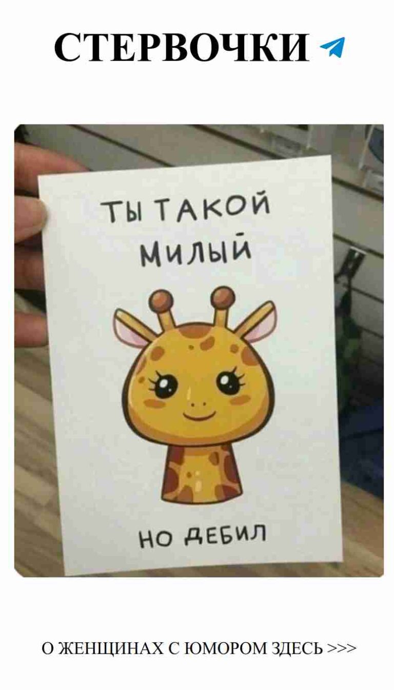 Смех и любовь: как найти идеального мужчину и не потерять стиль