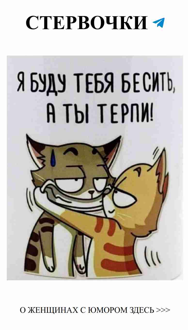 Котики в любви: улыбка и нежность в каждом глотке