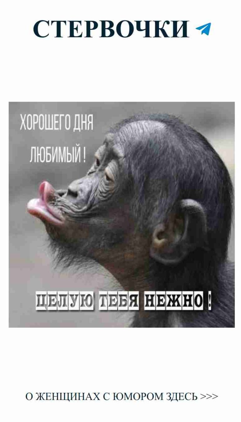 Смешные татуировки для любителей оригинального юмора