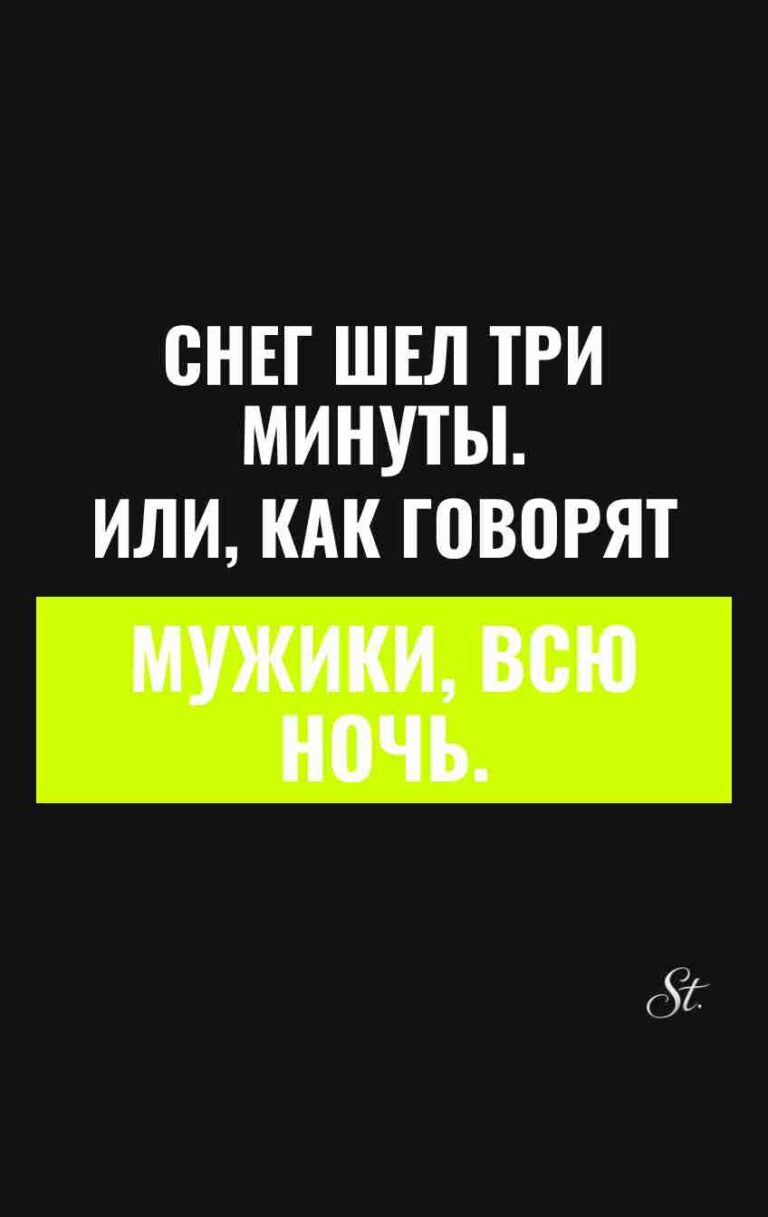 Смешные цитаты о снегопаде и мужчинах