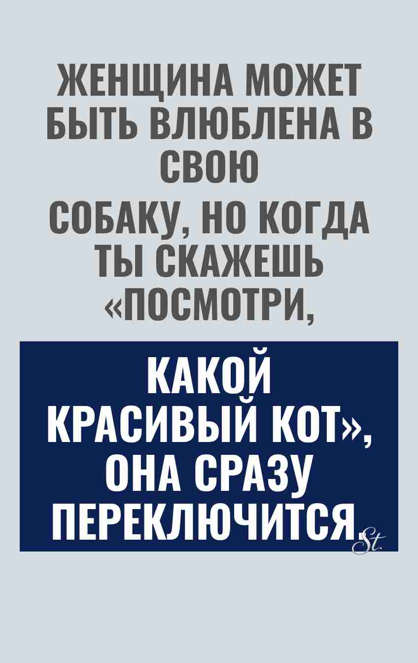 Смешные цитаты о любви и сарказме