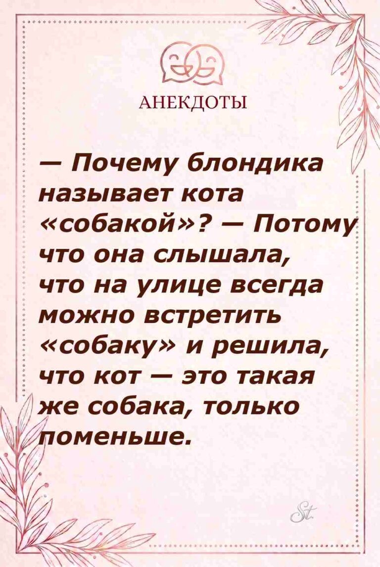 Смешные цитаты о женской логике и отношениях